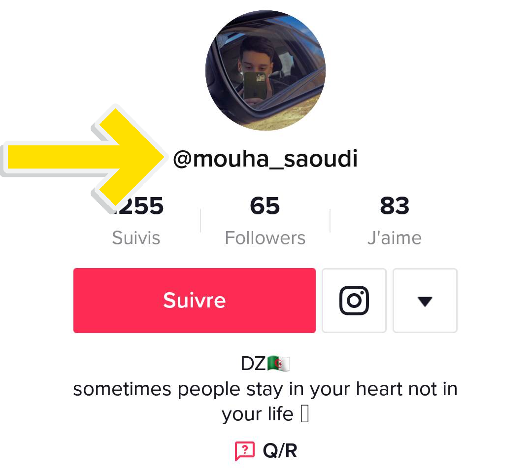 panel flm - pirater un compte tiktok